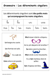 Les déterminants singuliers - Affiche pour la classe - Grammaire : Primaire 1 - PDF à imprimer