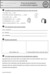 Déterminants singuliers - Exercices - Grammaire : Primaire 1 - PDF à imprimer