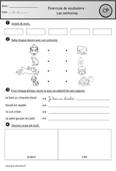 Révisions - Contraires - Vocabulaire : Primaire 1 - PDF à imprimer