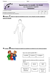 Mouvements corporels - Examen Evaluation - Bilan : Primaire 1 - PDF à imprimer