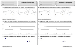 Droites - Segments - Exercices : Primaire 2 - PDF à imprimer