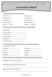 Accords de l'adjectif - Exercices : Primaire 4 - PDF à imprimer