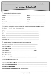 Genre et nombre - Masculin et féminin - Exercices sur les accords de l'adjectif : Primaire 4 - PDF à imprimer