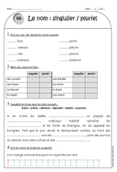 Singulier - Pluriel - Exercices avec correction : Primaire 2 - PDF à imprimer