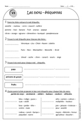 Mot générique ou mot étiquette - Exercices : Primaire 2 - PDF à imprimer