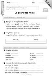 Genre des noms - Examen Evaluation - Bilan : Primaire 3 - PDF à imprimer