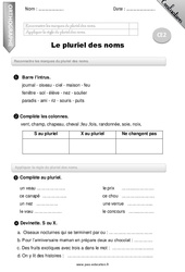 Pluriel des noms - Examen Evaluation - Bilan : Primaire 3 - PDF à imprimer