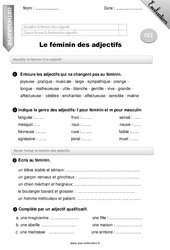 Féminin des adjectifs - Examen Evaluation - Bilan : Primaire 3 - PDF à imprimer