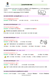 Pluriel des noms - Cours, Leçon : Primaire 4 - PDF à imprimer