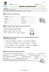 Pluriel des noms - Examen Evaluation - Bilan : Primaire 4 - PDF à imprimer