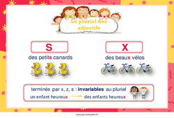 Pluriel des adjectifs - Affiche de classe : Primaire 1, 2 - PDF à imprimer