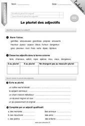 Pluriel des adjectifs - Examen Evaluation - Bilan : Primaire 3 - PDF à imprimer