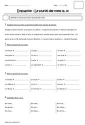 Pluriel des noms s,x - Examen Evaluation : Primaire 3 - PDF à imprimer