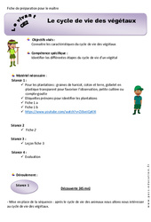 Cycle de vie des végétaux - Fiche de préparation 2 : Primaire 3 - PDF à imprimer