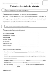 Pluriel des adjectifs - Examen Evaluation : Primaire 3 - PDF à imprimer