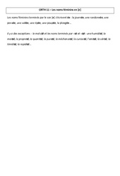 Noms féminins en [e] - Cours, Leçon : Primaire 3 - PDF à imprimer