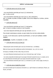 Fin des noms - Cours, Leçon - Orthographe : Primaire 5 - PDF à imprimer