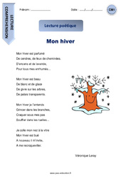 Mon hiver - Lecture compréhension - Poésie : Primaire 4 - PDF à imprimer