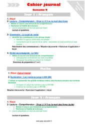 Semaine 9 - Cahier journal - PES - Stagiaires, jeunes profs... : Primaire 4 - PDF à imprimer
