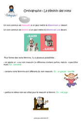 Le féminin des noms - Cours, Leçon : Primaire 4 - PDF à imprimer