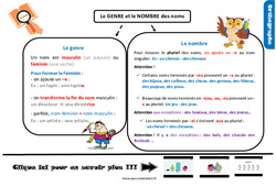 Le genre et le nombre des noms - Cours, Leçon, trace écrite : Primaire 4 - PDF à imprimer