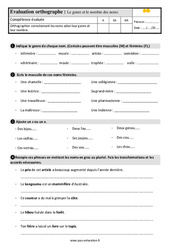 Le genre et le nombre des noms - Évaluation, bilan : Primaire 4 - PDF à imprimer