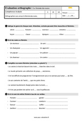 Le féminin des noms - Évaluation, bilan : Primaire 4 - PDF à imprimer