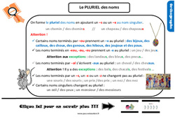 Le pluriel des noms - Cours, Leçon, trace écrite : Primaire 4 - PDF à imprimer