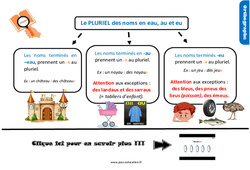Le pluriel des noms en eau, eu - Cours, Leçon, trace écrite : Primaire 4 - PDF à imprimer