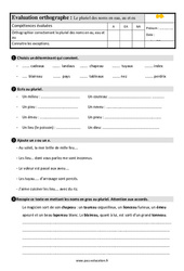 Le pluriel des noms en eau, eu au - Évaluation, bilan : Primaire 4 - PDF à imprimer