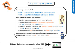 Le genre des adjectifs qualificatifs - Cours, Leçon, trace écrite : Primaire 4 - PDF à imprimer