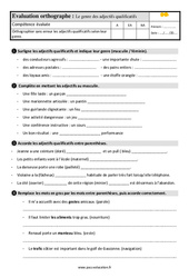 Le genre des adjectifs qualificatifs - Évaluation, bilan : Primaire 4 - PDF à imprimer
