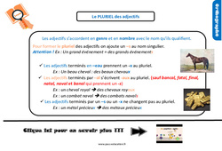 Le pluriel des adjectifs - Cours, Leçon, trace écrite : Primaire 4 - PDF à imprimer