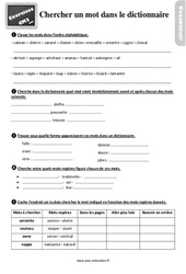 Chercher un mot dans le dictionnaire - Exercices, révisions : Primaire 5 - PDF à imprimer