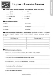 Le genre et le nombre des noms - Exercices, révisions : Primaire 5 - PDF à imprimer
