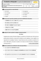 Le genre et le nombre des noms - Évaluation, bilan : Primaire 5 - PDF à imprimer
