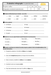 Le pluriel des noms - Évaluation, bilan : Primaire 5 - PDF à imprimer