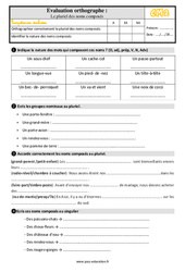 Pluriel des noms composés - Examen Evaluation : Primaire 5 - PDF à imprimer