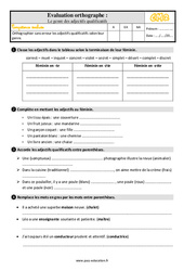 Le genre des adjectifs qualificatifs - Évaluation, bilan : Primaire 5 - PDF à imprimer