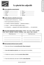 Le pluriel des adjectifs - Exercices, révisions : Primaire 5 - PDF à imprimer