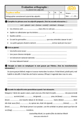 Le pluriel des adjectifs - Évaluation, bilan : Primaire 5 - PDF à imprimer