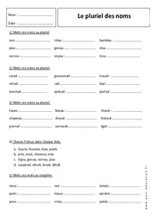 Pluriel des noms - Révisions : Primaire 6 - PDF à imprimer