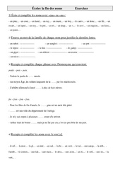 Écrire la fin des noms - Exercices : Primaire 5 - PDF à imprimer