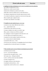 Écrire la fin des noms - Exercices : Primaire 5 - PDF à imprimer