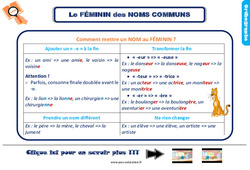 Le féminin des noms - Cours, Leçon, trace écrite : Primaire 3 - PDF à imprimer