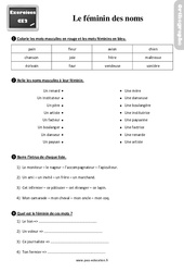 Le féminin des noms - Exercices, révisions : Primaire 3 - PDF à imprimer