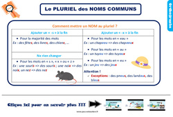 Le pluriel des noms - Cours, Leçon, trace écrite : Primaire 3 - PDF à imprimer