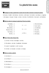 Le pluriel des noms - Exercices, révisions : Primaire 3 - PDF à imprimer