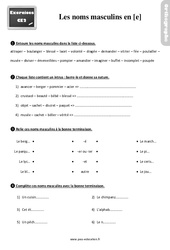 Les noms masculins terminés par - é - er - ier - et - Exercices, révisions : Primaire 3 - PDF à imprimer