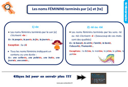 Les noms féminins terminés par [e] et [te] - Cours, Leçon, trace écrite : Primaire 3 - PDF à imprimer